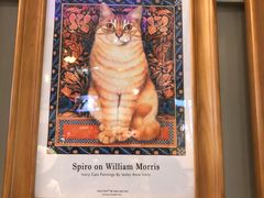 -猫咪博物馆(顶澳仔猫街店)