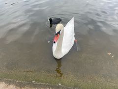 -海德公园