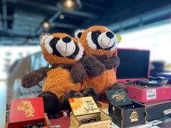 -浣熊唱片店(上海影城店)