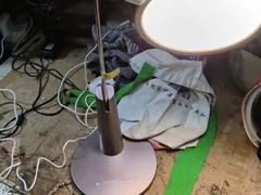 -小米之家(渝中龙湖时代天街店)