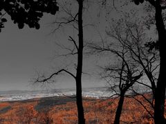 -帽儿山国家森林公园