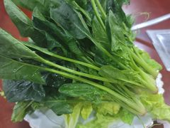 -菌之家·专业纯野生菌火锅·特色炒菌