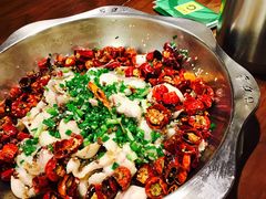 -百岁鱼(七一路店)