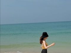 -贝壳沙滩