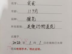 -关爱动物医院·心脏·中兽医·异宠(金牛路分院)