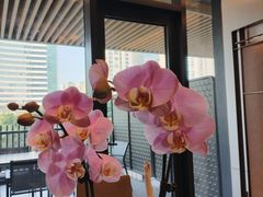-南海渔村(珠江新城店)