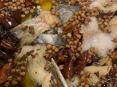 沸腾江团鱼-沸腾鱼家(大尧三路店)
