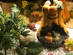 -嘉禾·悦享餐厅(八方汇店)