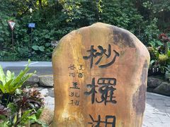 -深圳仙湖植物园