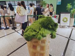 -鹤茶野所(上海首店)