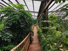 -呀路古热带植物园