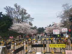 -青岛中山公园-索道售票处