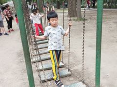-北京麋鹿生态实验中心