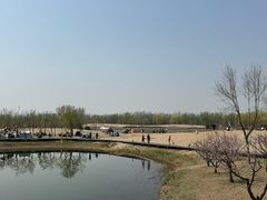 -东郊湿地公园