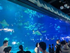 -烟台海昌鲸鲨海洋公园