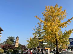 -西安城墙·碑林历史文化景区