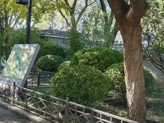 -后海公园