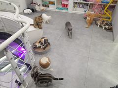 -极木²邸 人与宠物·互动社区