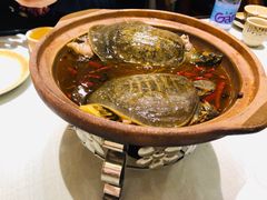 -老家信阳菜(北京路店)