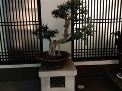 -稍可轩博物馆餐厅
