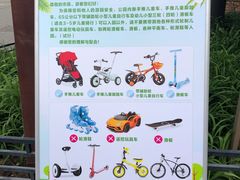 -大兴滨河森林公园