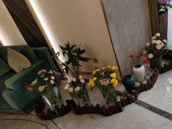 -雅曼妮spa美容养生