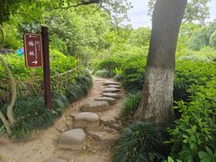 -白马涧龙池景区