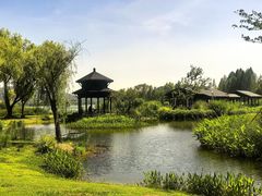 -蠡湖大桥公园