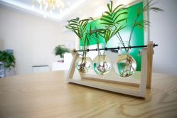 -诗安国际产后恢复中心(泰富时代广场店)