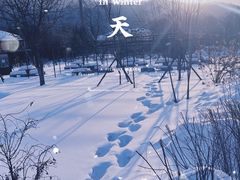 -横道河子东北虎林园