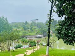 -铁山坪森林公园