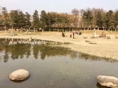 -白鹭湾湿地公园