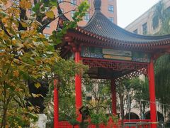-复旦大学附属中山医院(西院区)