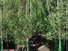 -水车博览园