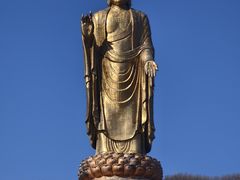 -中原大佛景区