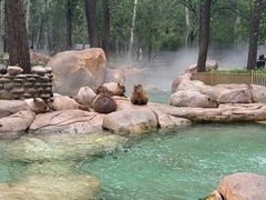 -北京野生动物园