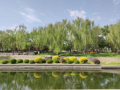 -元大都城垣遗址公园