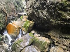 -鹿院坪生态旅游景区