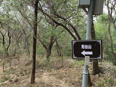 -北京鹫峰国家森林公园