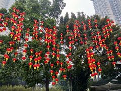 -晓港公园