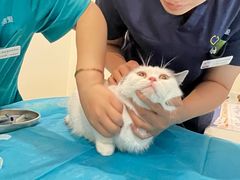 -美迦爱-牙专科·兔科·骨科诊疗中心(北苑店)