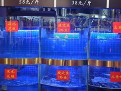水产区-蛙一刀·麻椒鱼火锅(金仙桥店)