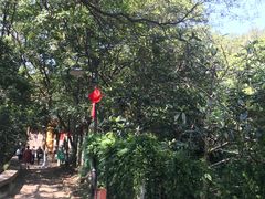 -雨花胜境