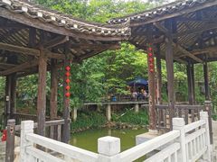 -老木棉·匠园