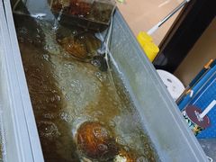 -十八字金·银饰·拼豆·开蚌DIY(魏公芳华里店)