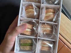 -猫里有甜