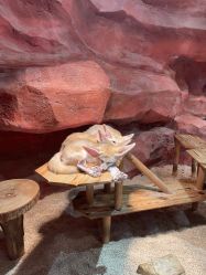 -Zoolung Zoolung动物主题公园(海信广场店)