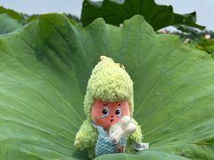 -渌洋湖湿地公园