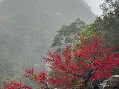 -刘伯温故里景区百丈漈