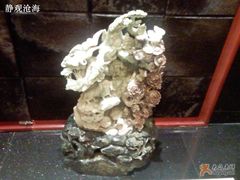 -上海天禧嘉福璞缇酒店